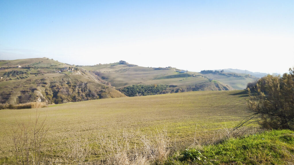 Cantina Terre Calanchi Piceni 2 - Castignano