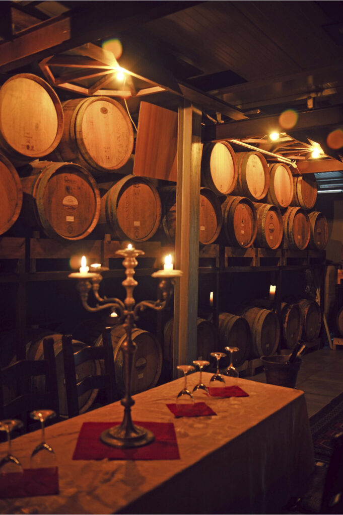 Cantina Terre Calanchi Piceni 2 verticale - Castignano