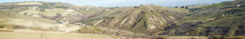 Landscape Cantina Terre Calanchi Piceni 3 - Castignano