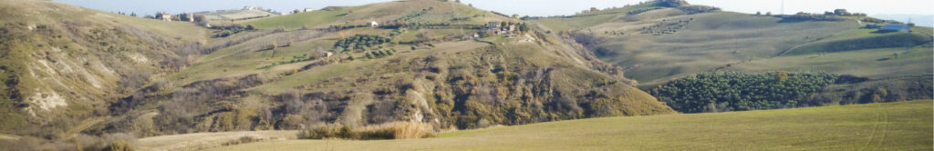 Landscape Cantina Terre Calanchi Piceni 4 - Castignano